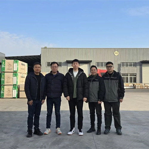 探索未来家居新风尚|w66利来国际彩臻板的创新之旅